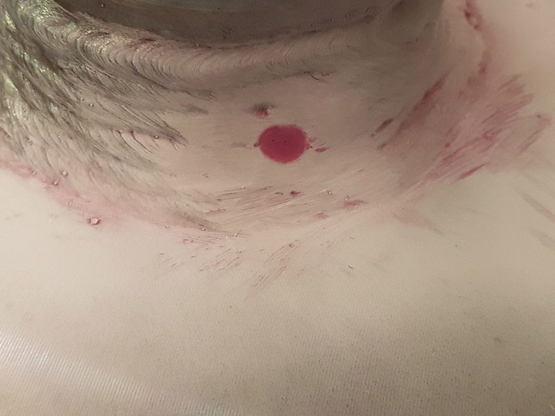 PT ROUNDED INDICATION